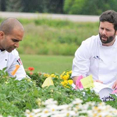 Two chefs in white uniforms crouch among colorful flower beds outdoors, engaged in discussion. One chef looks at the plants while the other speaks. A road and a white vehicle are visible in the background.